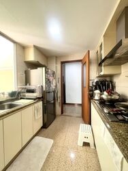 Rafflesia Condominium (D20), Condominium #592669701